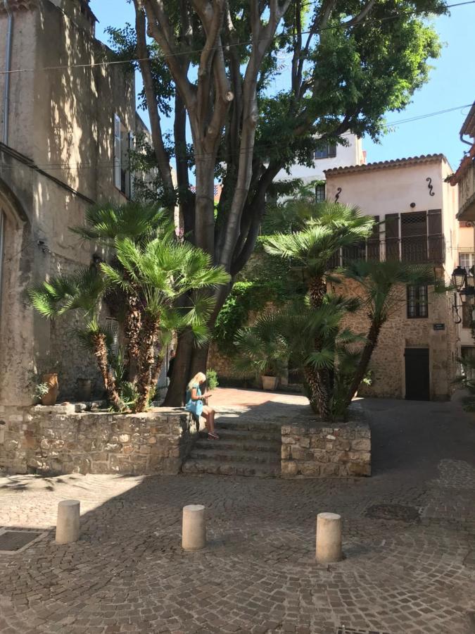 Antibes Tres Belle Situation ! Apartment ภายนอก รูปภาพ