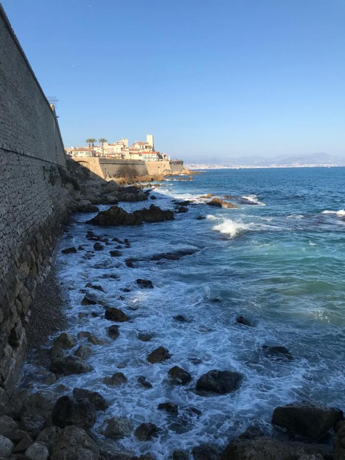 Antibes Tres Belle Situation ! Apartment ภายนอก รูปภาพ